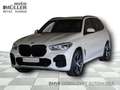 BMW X5 xDrive40d M Sportpaket Gestiksteuerung DAB Blanco - thumbnail 1