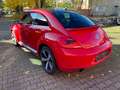 Volkswagen Beetle Lim. Sport-Leder-200HP-SH-Navi-Sound-18-Z Rouge - thumbnail 14