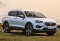 SEAT Tarraco 2.0TDI S&S Xcellence DSG 4Drive 200 Bleu - thumbnail 10