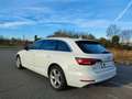 Audi A4 A4 Avant 35 2.0 tdi Sport 150cv s-tronic Blanc - thumbnail 5