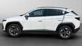 Hyundai TUCSON 1.6 crdi 136CV 48V Business 2wd dct nuova km0 Weiß - thumbnail 8