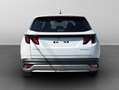 Hyundai TUCSON 1.6 crdi 136CV 48V Business 2wd dct nuova km0 Weiß - thumbnail 6