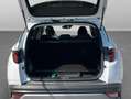 Hyundai TUCSON 1.6 crdi 136CV 48V Business 2wd dct nuova km0 Weiß - thumbnail 15