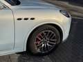 Maserati Grecale GT L4 MHEV 300CV AWD Gris - thumbnail 14
