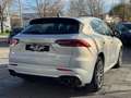 Maserati Grecale GT L4 MHEV 300CV AWD Gris - thumbnail 11