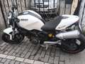 Ducati Monster 696 Wit - thumbnail 4