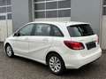 Mercedes-Benz B 180 d Aut. Weiß - thumbnail 18