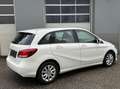 Mercedes-Benz B 180 d Aut. Blanc - thumbnail 17