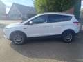 Ford Kuga TITANIUM KLIMAAUTOMATIK / LMF /  PDC / WINTER-PAKE Blanc - thumbnail 3