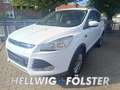 Ford Kuga TITANIUM KLIMAAUTOMATIK / LMF /  PDC / WINTER-PAKE Blanc - thumbnail 1