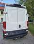 Iveco Daily 33S13V 3520 - thumbnail 3