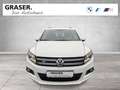 Volkswagen Tiguan 2,0 RFK Tempomat Parkassistent / NUR HÄNDLER Bianco - thumbnail 9