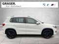 Volkswagen Tiguan 2,0 RFK Tempomat Parkassistent / NUR HÄNDLER Bianco - thumbnail 7
