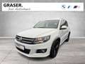 Volkswagen Tiguan 2,0 RFK Tempomat Parkassistent / NUR HÄNDLER Bianco - thumbnail 1