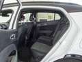 Kia Sportage 1.6 T-GDI MHEV 110KW 30 ANIVERSARIO 150CV 5P Blanc - thumbnail 14