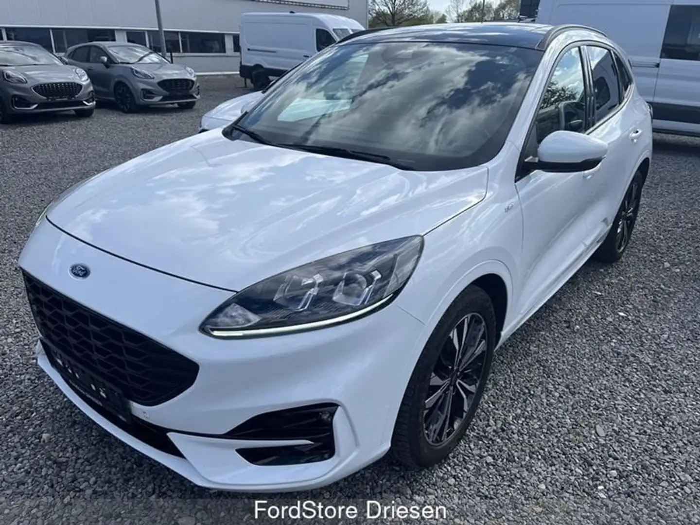Ford Kuga ST-Line 2.5i FHEV automaat Blanc - 1