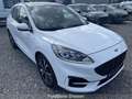 Ford Kuga ST-Line 2.5i FHEV automaat Blanc - thumbnail 2