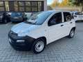 Fiat Panda 1.2 BENZINA (N1) AUTOCARRO 2 POSTI *EURO 6d-TEMP Weiß - thumbnail 6