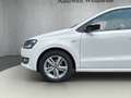 Volkswagen Polo POLO°V°MATCH°AUT°NAV°T.LEDER°KAM°XENON°NUR56TKM° Blanc - thumbnail 10