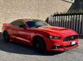 Ford Mustang UNICA UFF. ITALIANA 2 ANNI DI GARANZIA - thumbnail 6