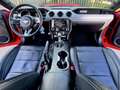 Ford Mustang UNICA UFF. ITALIANA 2 ANNI DI GARANZIA - thumbnail 12