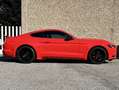 Ford Mustang UNICA UFF. ITALIANA 2 ANNI DI GARANZIA - thumbnail 5