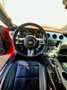 Ford Mustang UNICA UFF. ITALIANA 2 ANNI DI GARANZIA - thumbnail 10