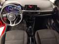 Kia Picanto CONCEPT 1.0 CVVT 67 CV 5P Rouge - thumbnail 11