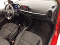 Kia Picanto CONCEPT 1.0 CVVT 67 CV 5P Rouge - thumbnail 12