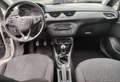 Opel Corsa Corsa 1.2 5 porte Edition Bianco - thumbnail 10