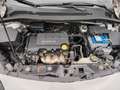 Opel Corsa Corsa 1.2 5 porte Edition Bianco - thumbnail 12