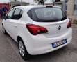 Opel Corsa Corsa 1.2 5 porte Edition Bianco - thumbnail 7