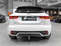 Jaguar E-Pace P240 R-Dynamic HSE AWD / MERIDIAN / PANORAMA / Blanco - thumbnail 5