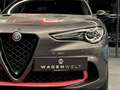 Alfa Romeo Stelvio Quadrifoglio Q4, Panorama, Harman Kardon, Grijs - thumbnail 10
