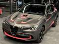 Alfa Romeo Stelvio Quadrifoglio Q4, Panorama, Harman Kardon, Grijs - thumbnail 11
