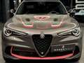 Alfa Romeo Stelvio Quadrifoglio Q4, Panorama, Harman Kardon, Gris - thumbnail 9