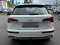 Audi Q5 40TDI QUATTRO STANDHEIZUNG KAMER TOTWINKE AHK Weiß - thumbnail 6
