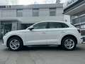 Audi Q5 40TDI QUATTRO STANDHEIZUNG KAMER TOTWINKE AHK Weiß - thumbnail 4