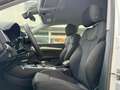Audi Q5 40TDI QUATTRO STANDHEIZUNG KAMER TOTWINKE AHK Weiß - thumbnail 8