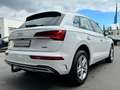 Audi Q5 40TDI QUATTRO STANDHEIZUNG KAMER TOTWINKE AHK Weiß - thumbnail 7