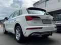 Audi Q5 40TDI QUATTRO STANDHEIZUNG KAMER TOTWINKE AHK Weiß - thumbnail 5