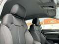 Audi Q5 40TDI QUATTRO STANDHEIZUNG KAMER TOTWINKE AHK Weiß - thumbnail 16