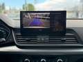 Audi Q5 40TDI QUATTRO STANDHEIZUNG KAMER TOTWINKE AHK Weiß - thumbnail 14