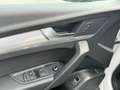 Audi Q5 40TDI QUATTRO STANDHEIZUNG KAMER TOTWINKE AHK Weiß - thumbnail 10