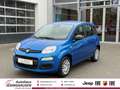 Fiat Panda Pandina POP+Klima+Spurhalte.+Schildererkennung Bleu - thumbnail 1