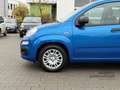 Fiat Panda Pandina POP+Klima+Spurhalte.+Schildererkennung Bleu - thumbnail 8
