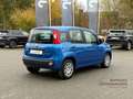 Fiat Panda Pandina POP+Klima+Spurhalte.+Schildererkennung Bleu - thumbnail 5
