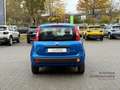 Fiat Panda Pandina POP+Klima+Spurhalte.+Schildererkennung Bleu - thumbnail 6