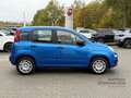 Fiat Panda Pandina POP+Klima+Spurhalte.+Schildererkennung Bleu - thumbnail 4