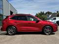 Ford Kuga 2.5 PHEV ST-Line 225PK Afn. Trekhaak Panodak Adapt Rood - thumbnail 10